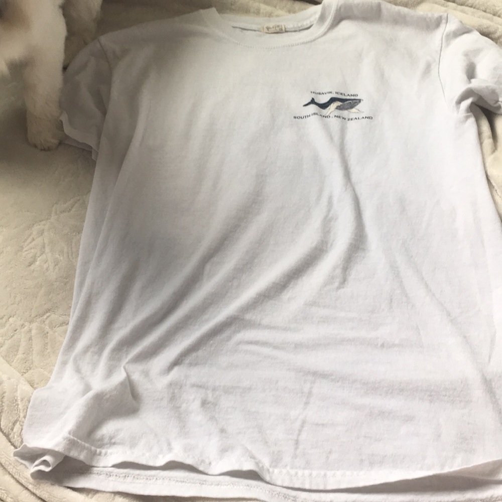 Brandy Iceland Whale Tee
